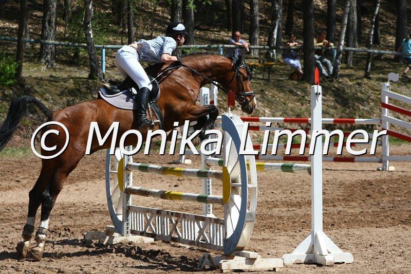 204M8320.JPG