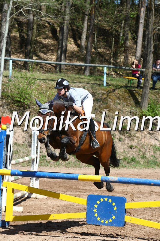 204M8603_Palma-U_Spring_Axx.JPG