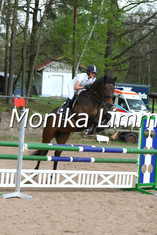 203M7027_Bonaparte_Spring_Axx.JPG