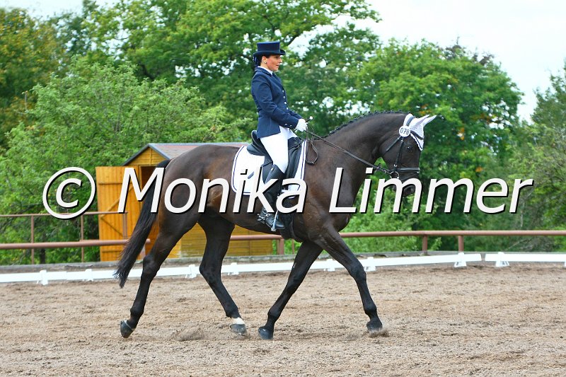 109M2078_CD.JPG - Turnier Wernstein Sept. 2011Foto von Monika Limmer, www.foto-limmer.deRosenkrantzstr. 8, 95326 Kulmbach; Tel. 0177 -250 60 75