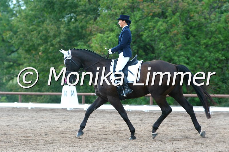 109M2543_Highlith_Dressur_A_CD.jpg - Turnier Wernstein Sept. 2011Foto von Monika Limmer, www.foto-limmer.deRosenkrantzstr. 8, 95326 Kulmbach; Tel. 0177 -250 60 75