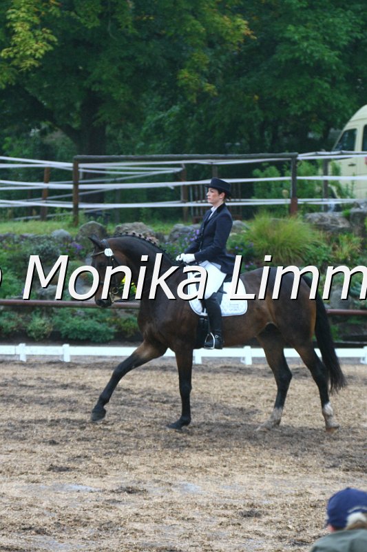 109M3054_Rubin_Dressur_M.JPG